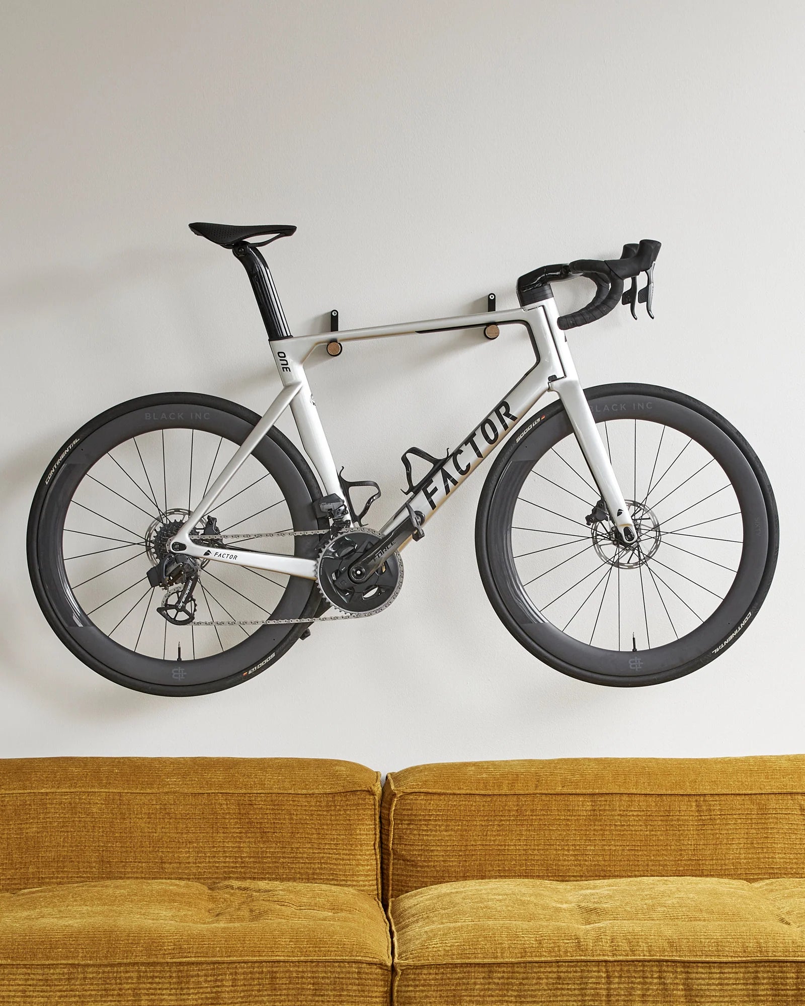 Wall Mount Bike